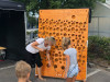 XXL Lochwand mieten potsdam
